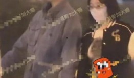 刘大锤最新爆料原版视频,原版视频背后的惊人真相