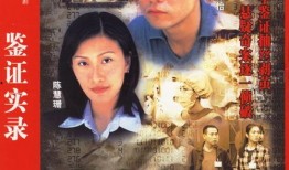 在线观看鉴证实录观看,揭秘古代奇案，探寻智慧之光