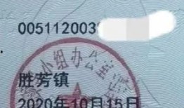 李先生爆料最新消息新闻,最新消息震惊业界，揭秘事件背后真相