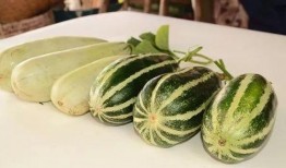 专门吃网红瓜的网站,那些你不知道的幕后瓜料大汇总