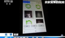 家庭入侵手机在线观看