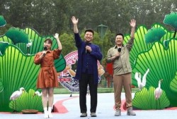 临沂温泉爆料视频最新消息,探秘神秘温泉奇观，揭秘养生胜地魅力