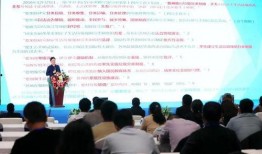 小羊新外观爆料视频大全,全方位视频解析