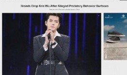 近日外媒爆料事件视频,最新事件视频引发热议