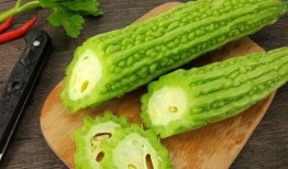 吃瓜论文免费,免费获取的学术盛宴