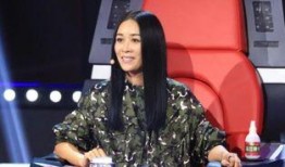 圈内人爆料那英人品