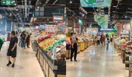 石家庄超市最新爆料,热门商品排行与优惠活动大盘点