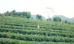 渔乐圈最新爆料