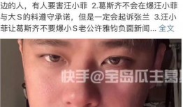 爆料汪小菲录音视频,豪门恩怨背后的惊人真相