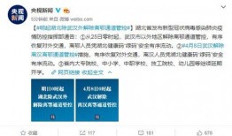 武汉新闻最新爆料,揭秘城市热点事件背后的真相