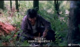 落叶归根 在线观看,探寻故乡情怀的温暖之旅