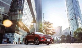 哈弗内部爆料视频大全集,揭秘哈弗家族神秘面纱