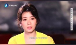 贾静雯前夫 爆料视频,揭秘婚姻内幕