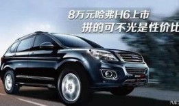 哈弗内部爆料视频大全集,揭秘哈弗家族神秘面纱