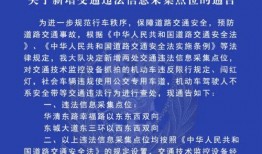 西安交通新爆料最新消息,最新动态揭秘，带你直击现场