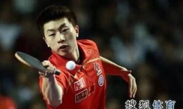 神经马龙在线观看,在线观看揭秘乒乓球大师的神经技巧与智慧