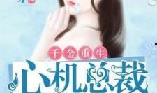 爆料千金视频小说,揭秘豪门背后的逆袭传奇