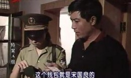 特案a组全集在线观看,全案揭秘，在线观看，悬疑重重