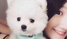 博美爆料新闻视频播放大全,新闻视频播放大全精彩瞬间