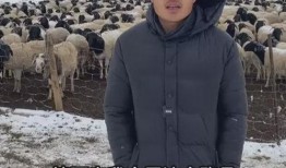 惠然已婚爆料视频大全最新,视频大全完整解析