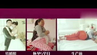 娱乐君吃瓜老绵羊视频在线观看,揭秘老绵羊视频背后的精彩故事